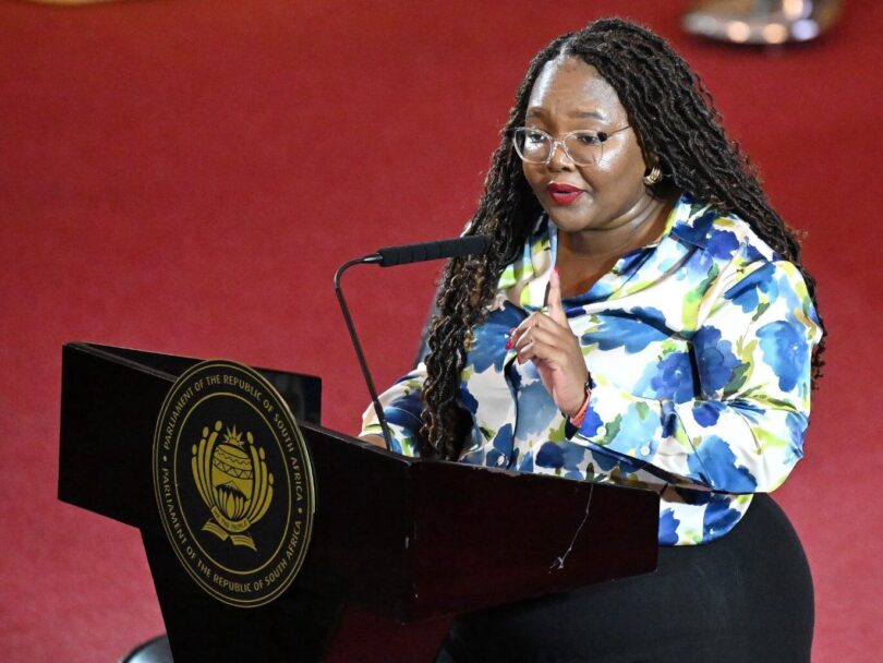 Siviwe Gwarube Biography, Age, Qualifications, DA, Minister of Basic