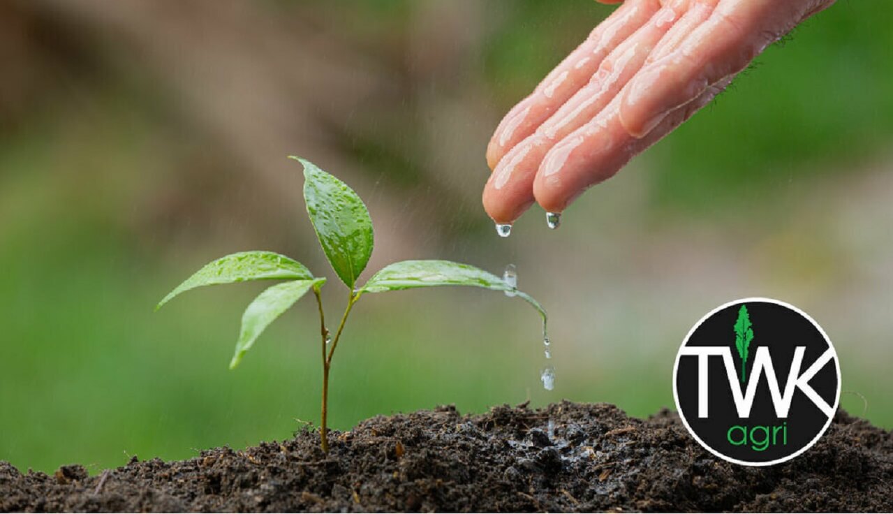 TWK Agri Vacancies Receptionist Position myNewsRoom